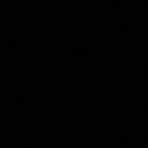 Meet your Posher, Mia